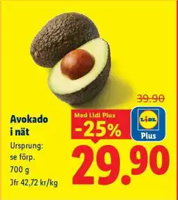 Lidl Avokado i nät erbjuda