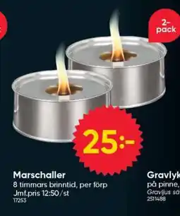 DollarStore Marschaller erbjuda