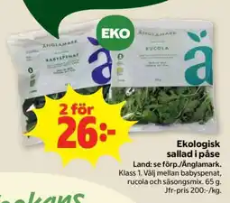 Stora Coop Ekologisk Sallad i Påse erbjuda