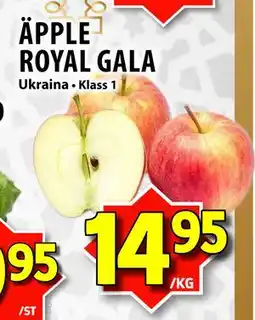Matvärlden Tensta ÄPPLE ROYAL GALA erbjuda