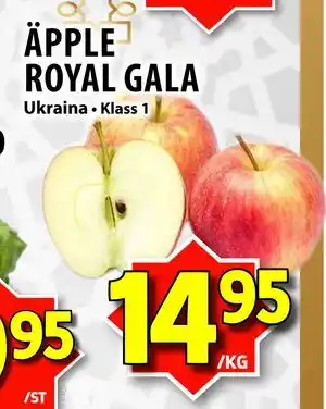 ÄPPLE ROYAL GALA