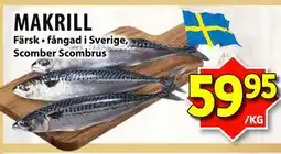 Matvärlden Tensta MAKRILL erbjuda