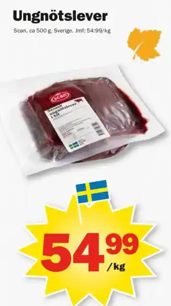 Scan ungnotslever