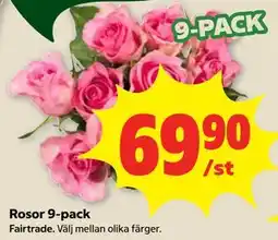 Stora Coop Rosor 9-pack erbjuda
