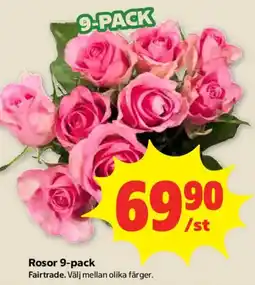 Stora Coop Rosor 9-pack erbjuda