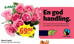 Coop Daglivs Rosor 9-pack erbjuda