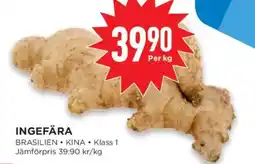 Willys Ingefära erbjuda