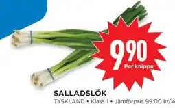 Willys Salladslök erbjuda