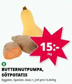 Tempo Butternutpumpa, Sötpotatis erbjuda