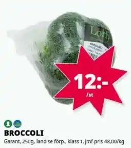 Tempo Lorfly broccoli erbjuda