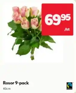 Hemköp Roser 9-pack erbjuda