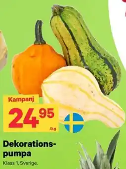City Gross Dekorationspumpa erbjuda