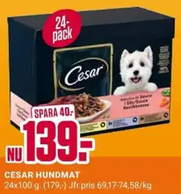 ÖoB Cesar hundmat erbjuda
