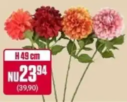 ÖoB Blommor erbjuda