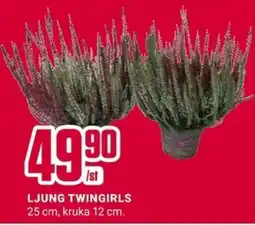 ÖoB Ljung twingirls erbjuda
