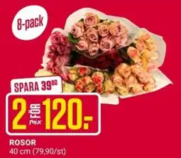 ÖoB Roser erbjuda