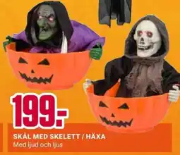 ÖoB Skål med skelett / häxa erbjuda