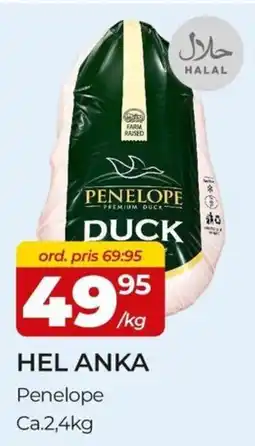 Matrix Butikerna Penelope hel anka erbjuda