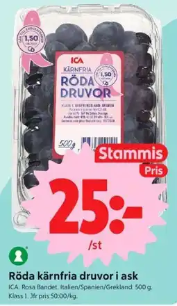 ICA Nära Ica röda kärnfria druvor erbjuda