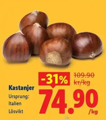 Kastanjer