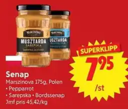 Nya Pulsen Marszinova Senap erbjuda