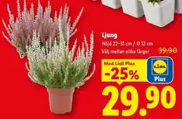 Lidl Lidl Plus Ljung erbjuda