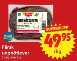Nya Pulsen Scan färsk ungnötlever erbjuda