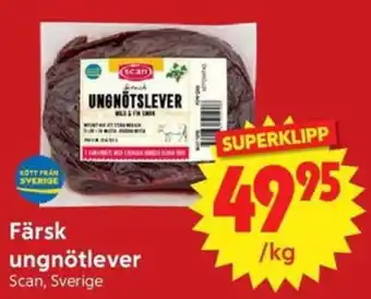 Scan färsk ungnötlever