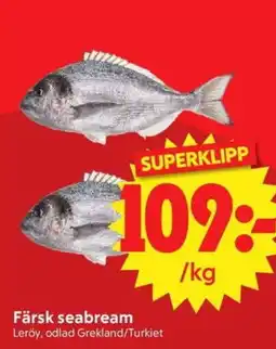 Nya Pulsen Färsk seabream erbjuda