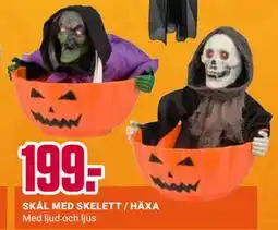 ÖoB SKÅL MED SKELETT / HÄXA erbjuda