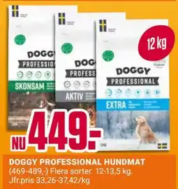 ÖoB DOGGY PROFESSIONAL HUNDMAT erbjuda