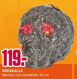 ÖoB DÖDSKALLE erbjuda