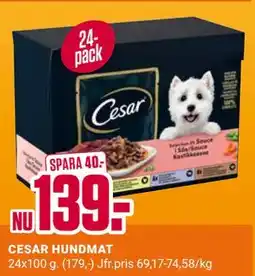 ÖoB CESAR HUNDMAT erbjuda