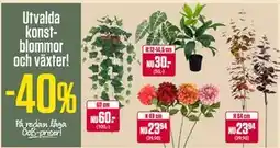 ÖoB Utvalda konstblommor och växter erbjuda