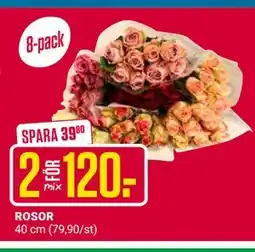 ÖoB ROSOR erbjuda