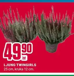 ÖoB LJUNG TWINGIRLS erbjuda