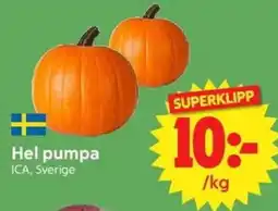 Nya Pulsen Hel pumpa erbjuda