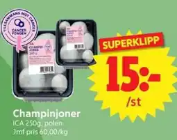 Nya Pulsen Champinjoner erbjuda