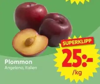 Plommon