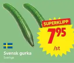 Nya Pulsen Gurka erbjuda