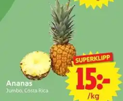 Nya Pulsen Ananas erbjuda