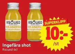 Nya Pulsen Rscued ingefära shot erbjuda