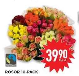 Willys Hemma ROSOR 10-PACK erbjuda