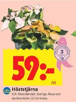 ICA Kvantum Höststjärna erbjuda