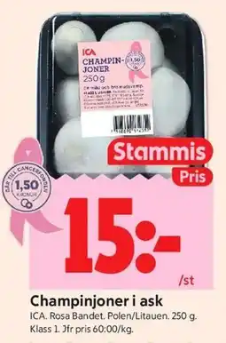 ICA Kvantum Champinjoner i ask, Medlemspris erbjuda
