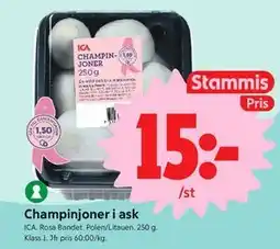 ICA Nära Champinjoner i ask, Medlemspris erbjuda