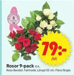 ICA Supermarket Rosor 9-pack erbjuda