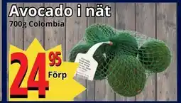 Supergrossen Avocado i nät erbjuda