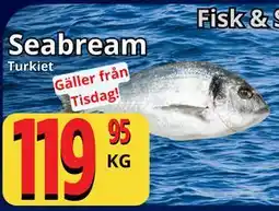 Supergrossen Seabream erbjuda