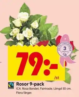 ICA Kvantum Ica rosor 9-pack erbjuda